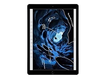 Amazon.com : Apple iPad Pro (128GB, Wi-Fi + Cellular, Space